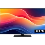 Telewizor Panasonic TB-65W61 65" 60 Hz 4K