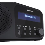Radio Sharp DR-P420 Czarny - Black