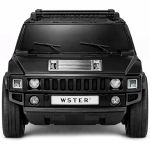 Głośnik Wster WS-590 Czarny - Black