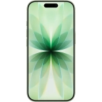 Wyświetlacz Apple iPhone 17 256GB Szałwia - Sage