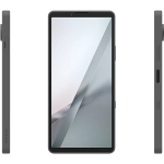 Sony Xperia 10 VIII 5G 8/128GB Szary - Frosted Gray