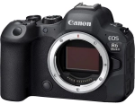 Canon EOS R6 Mark II + RF 24-105 mm f/4-7.1 IS STM