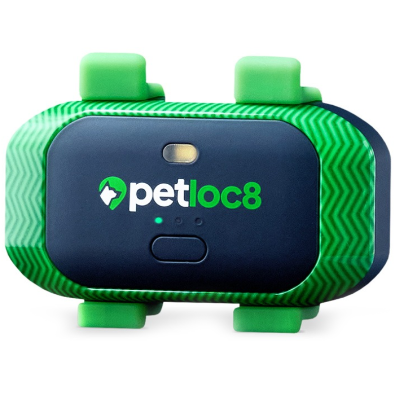 Lokalizator GPS PetLoc8 Mini LTE dla zwierząt Zielony - Green