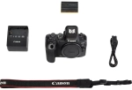 Canon EOS R6 body