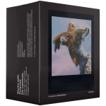 Wkład kolorowy Polaroid Go Film Double Pack Black Frame do aparatu GO 16 sztuk