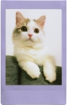 FujiFilm Papier Instax mini Soft Lavender 10 sztuk