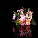 ba02f5033b4cbecfa0a49f7bde53b761