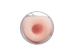 9c40e2755cac6687fda6562c0eec6f38