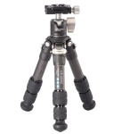 3a921a429403fa79f9816a64fe284b16