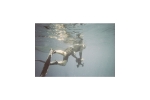 Obudowa podwodna Lomography