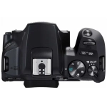 Aparat Canon EOS 250D body