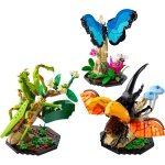 LEGO Ideas Kolekcja owadów 21342