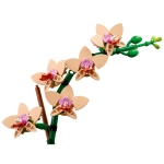 LEGO Botanicals Mała orchidea 1034