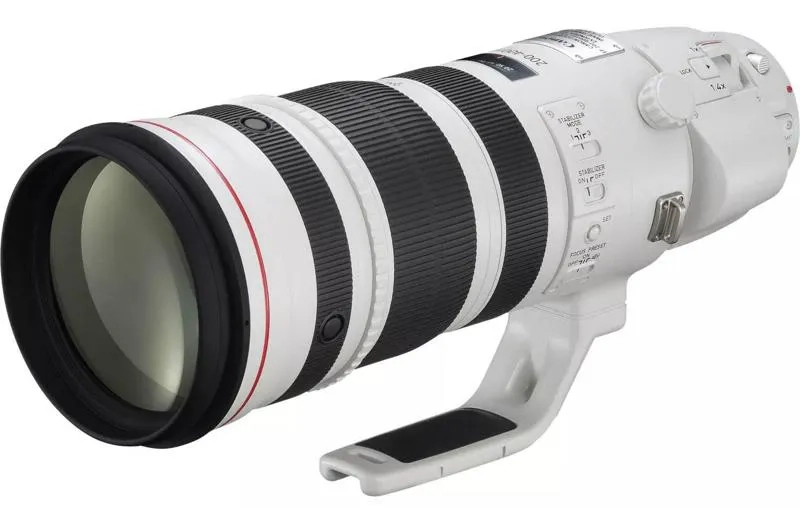 Canon EF 200-400 mm f/4 L IS USM Extender 1.4x
