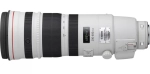 Canon EF 200-400 mm f/4 L IS USM Extender 1.4x