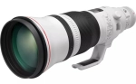 Canon EF 600 mm f/4 L IS III USM
