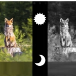 Monokular noktowizor Apexel NV007 Czarny - Black