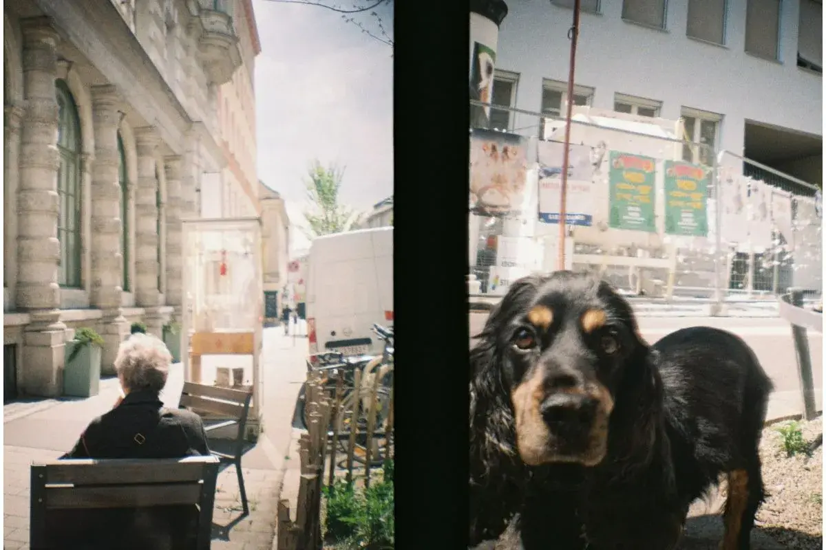Lomography Half-frame Lomourette Classic-3