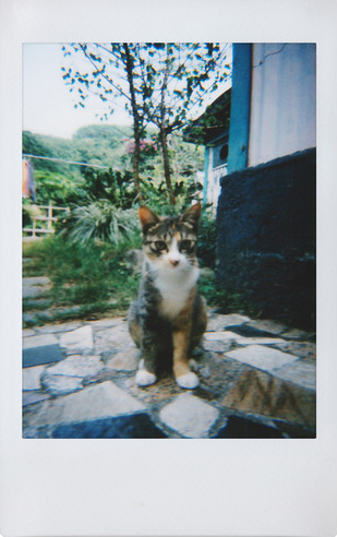 Lomo Instant Mini Black -1
