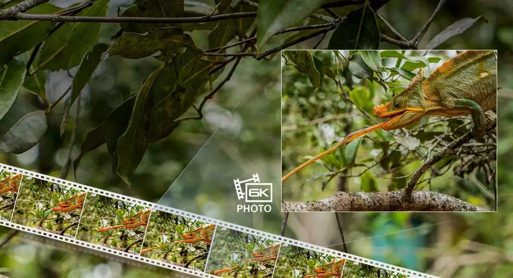 aparat-panasonic-lumix-dc-g9