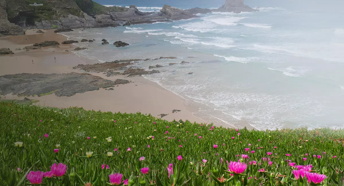 aparat-panasonic-dmc-g7-czarny-14-140mm-f-3-5-5-6