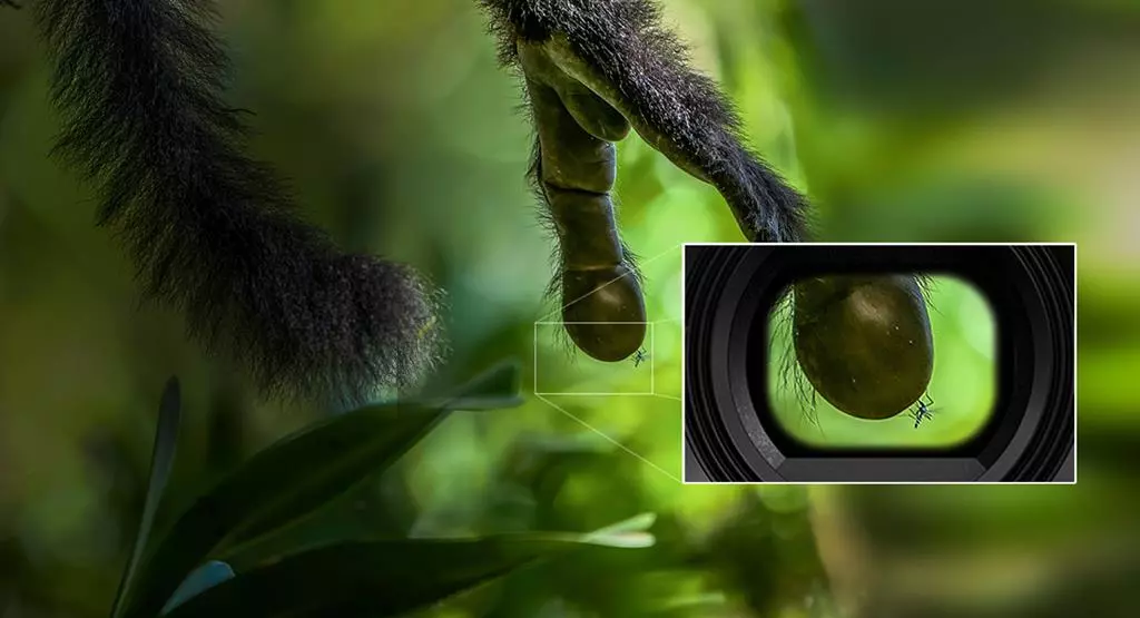 aparat-panasonic-lumix-dc-g9