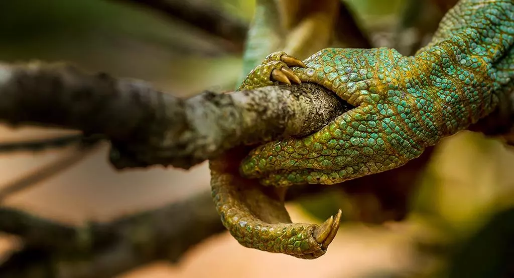 aparat-panasonic-lumix-dc-g9