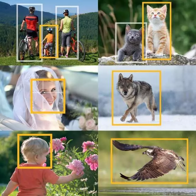 aparat-panasonic-lumix-s5-body-dc-s5e-k