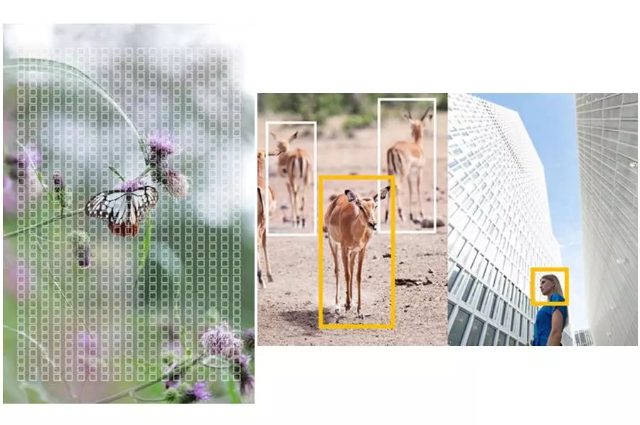 panasonic-lumix-s5ii-50-mm-f-1-8-dc-s5m2ce