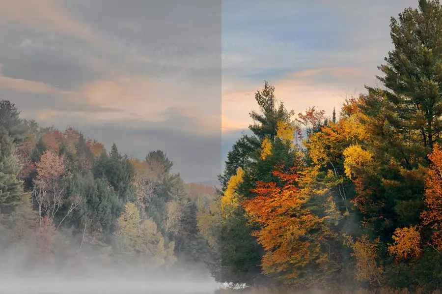 panasonic-lumix-s5ii-50-mm-f-1-8-dc-s5m2ce