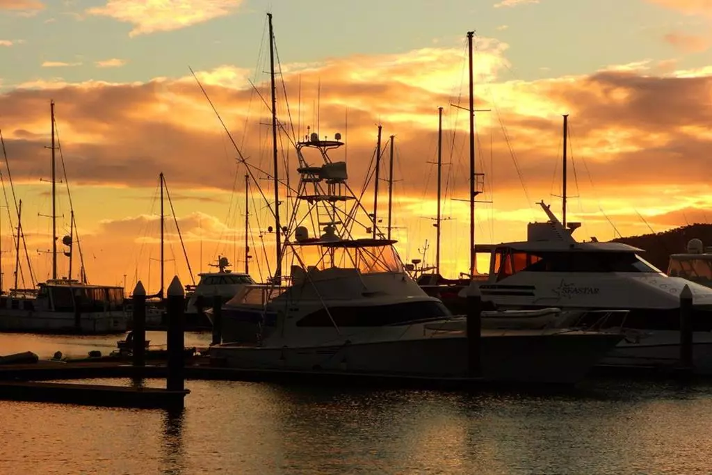 Aparat Nikon Coolpix P1000