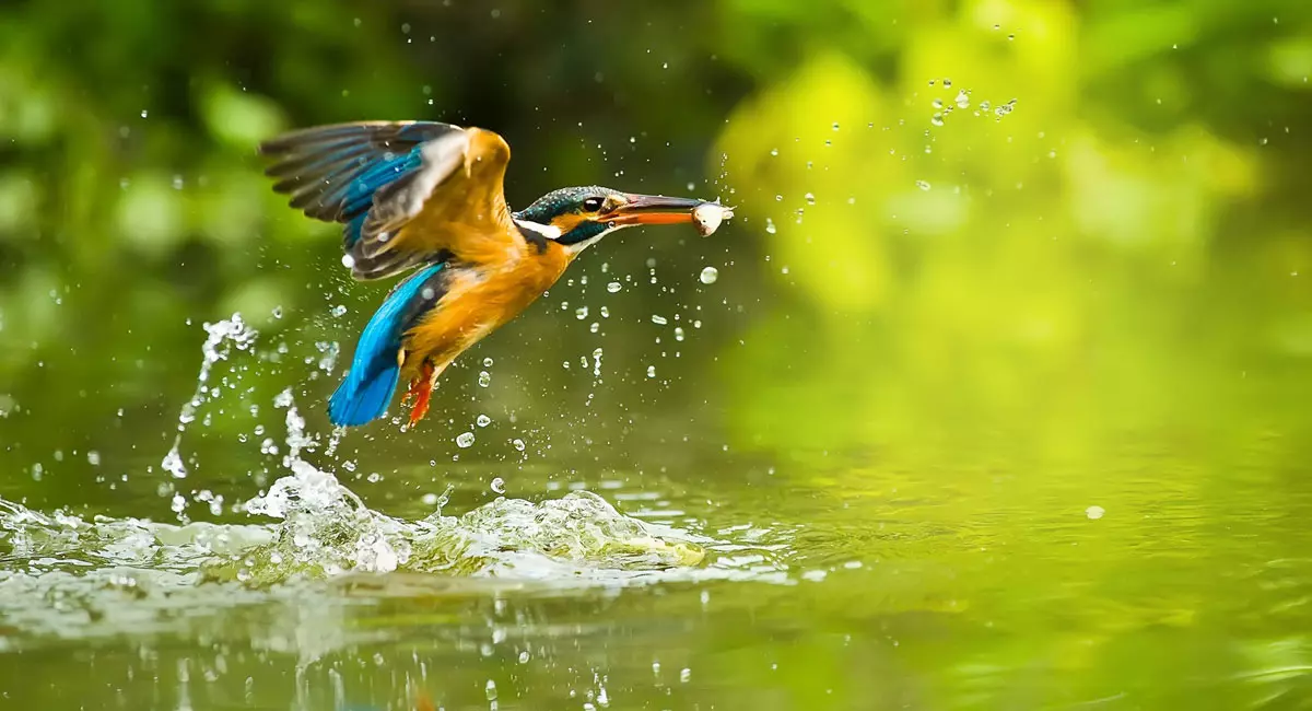 Aparat Panasonic Lumix DMC-FZ300