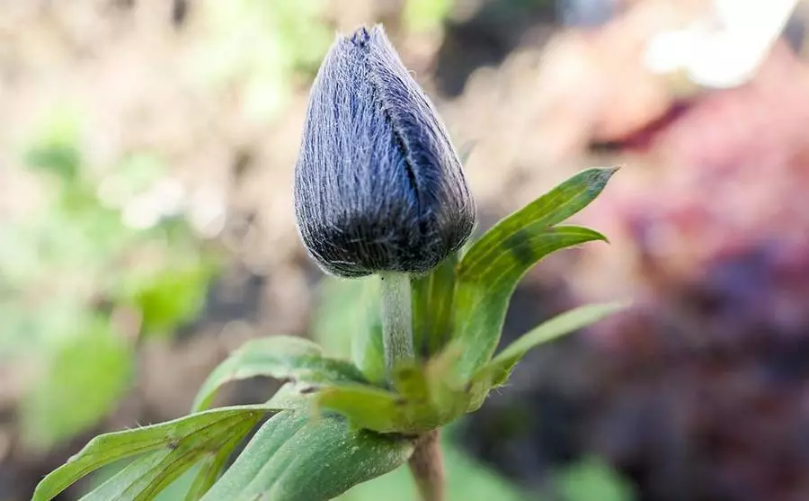 aparat-panasonic-lumix-dc-tz200-czarny-dc-tz200degk