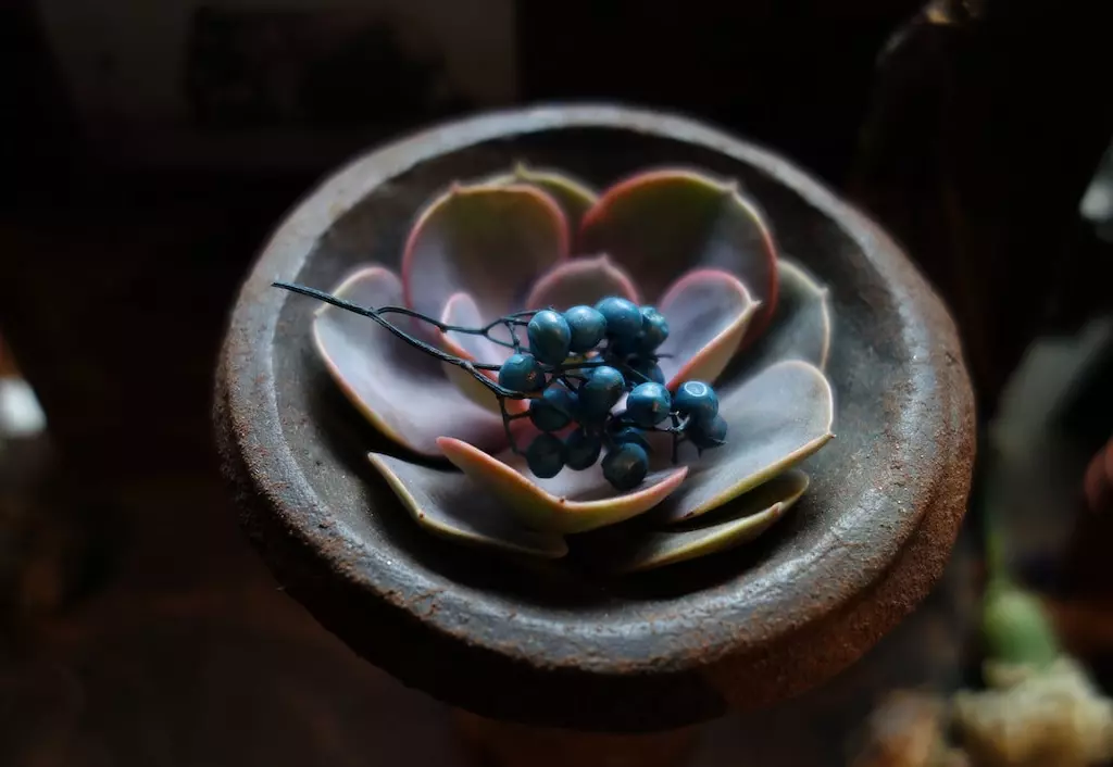 aparat-sony-dsc-rx100-v-dscrx100m5-ce3