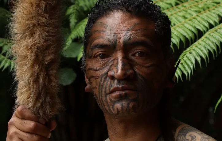 Aparat Canon EOS 850D + 18-55 IS STM