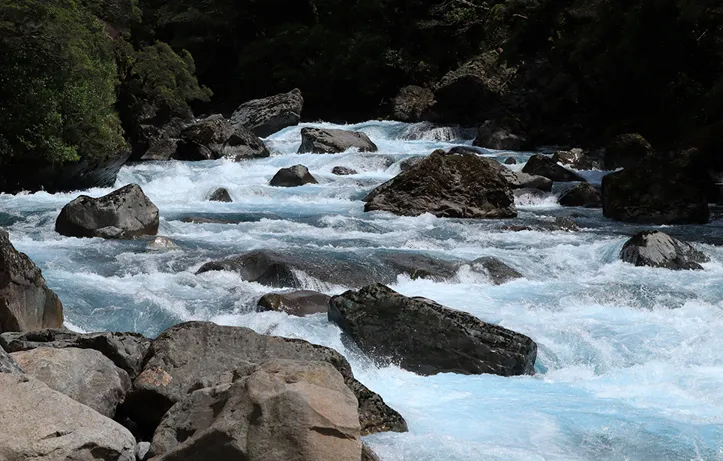 Aparat Canon EOS 850D + 18-55 IS STM