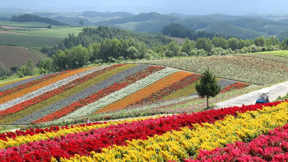 Aparat Canon EOS M50 Mark II + EF-M 15-45mm IS STM Czarny zestaw dla wideoblogera