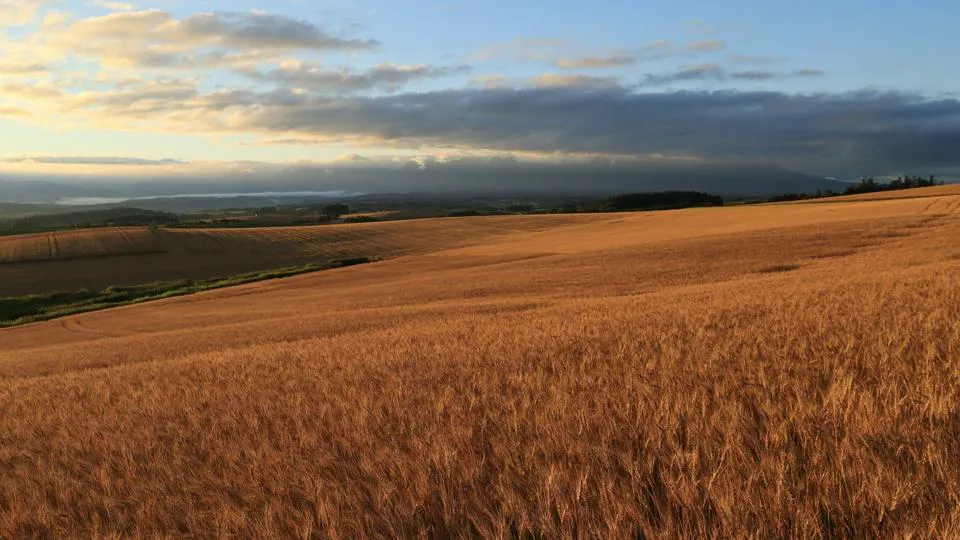 Canon EOS M50 Mark II + EF-M 18-150mm f/3.5-6.3 IS STM 