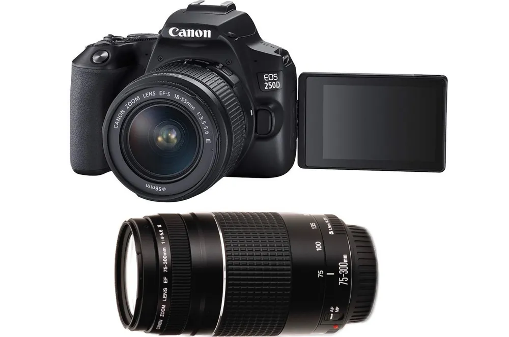 Aparat Canon EOS 250D + EF-S 18-55 mm f/3.5-5.6 III + EF 75-300 mm f/4-5.6 III