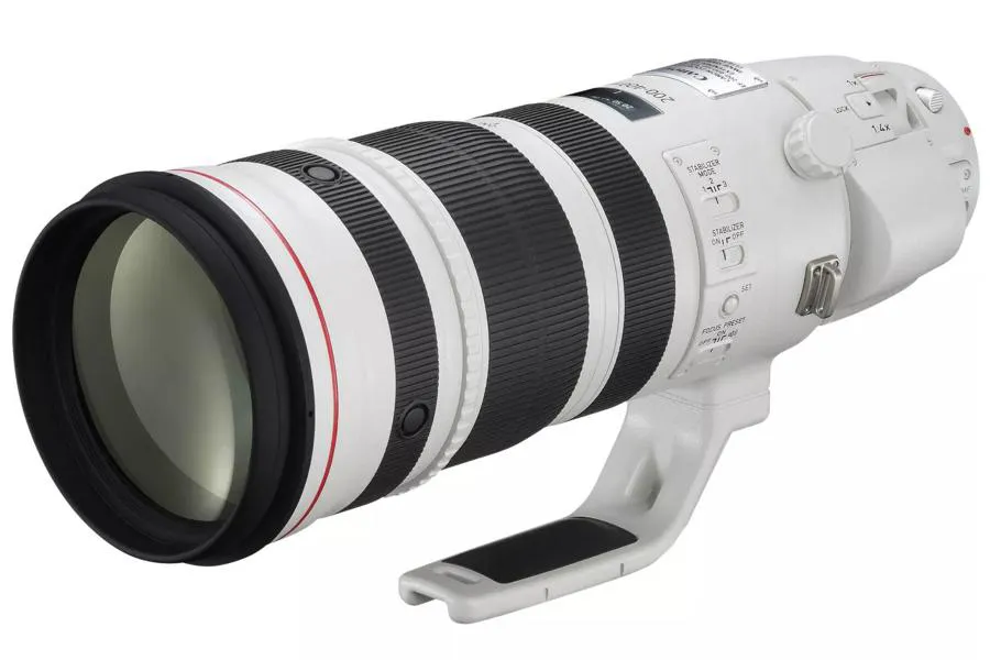 Canon EF 200-400 mm f/4 L IS USM Extender 1.4x