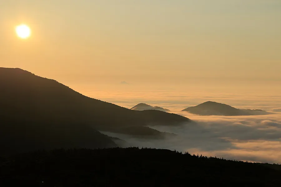 Canon RF 100-400 mm f/5.6-8 IS USM