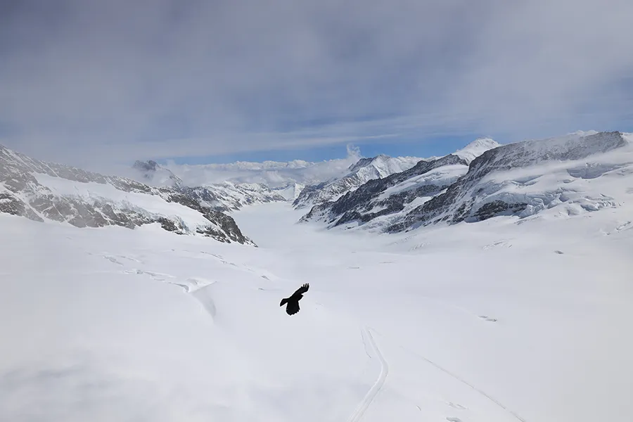 Canon RF 15-35 mm f/2.8 L IS USM