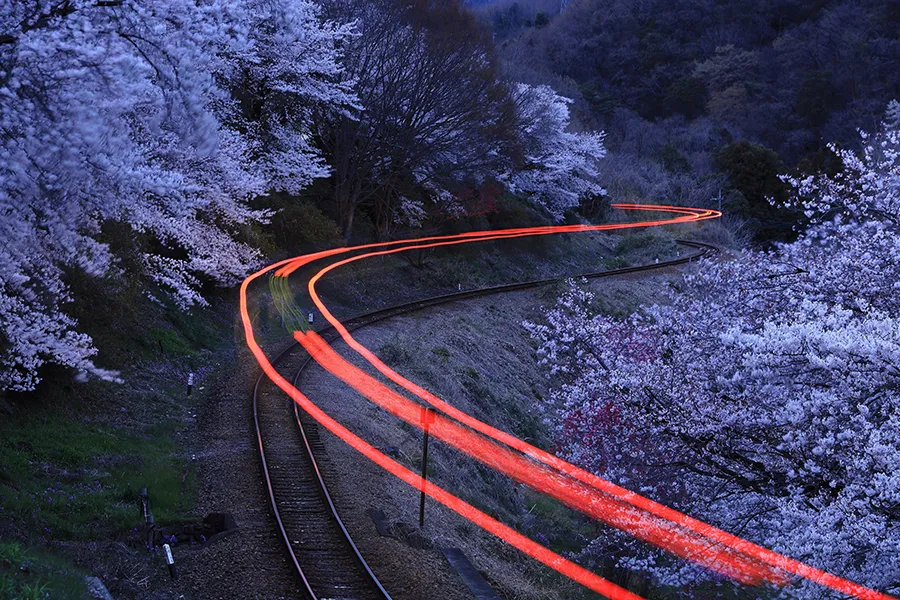 Canon RF 24-240 mm f/4-6.3 IS USM