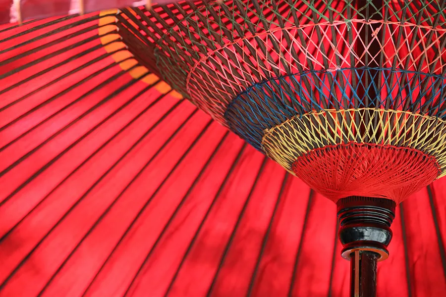 Canon RF 24-240 mm f/4-6.3 IS USM