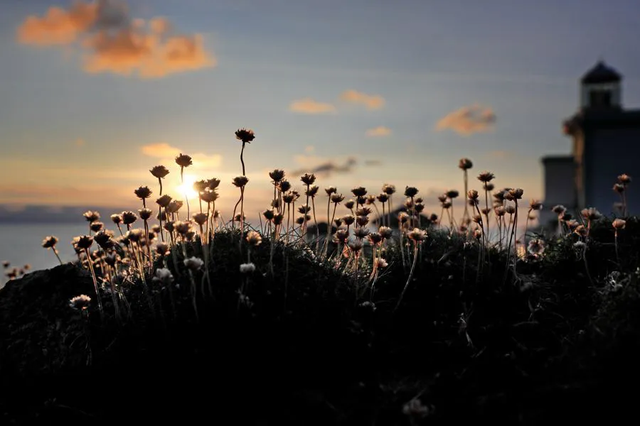 Canon RF 28-70 mm f/2 L USM