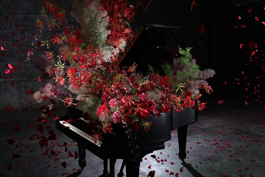 Canon RF 35 mm f/1.8 Macro IS STM