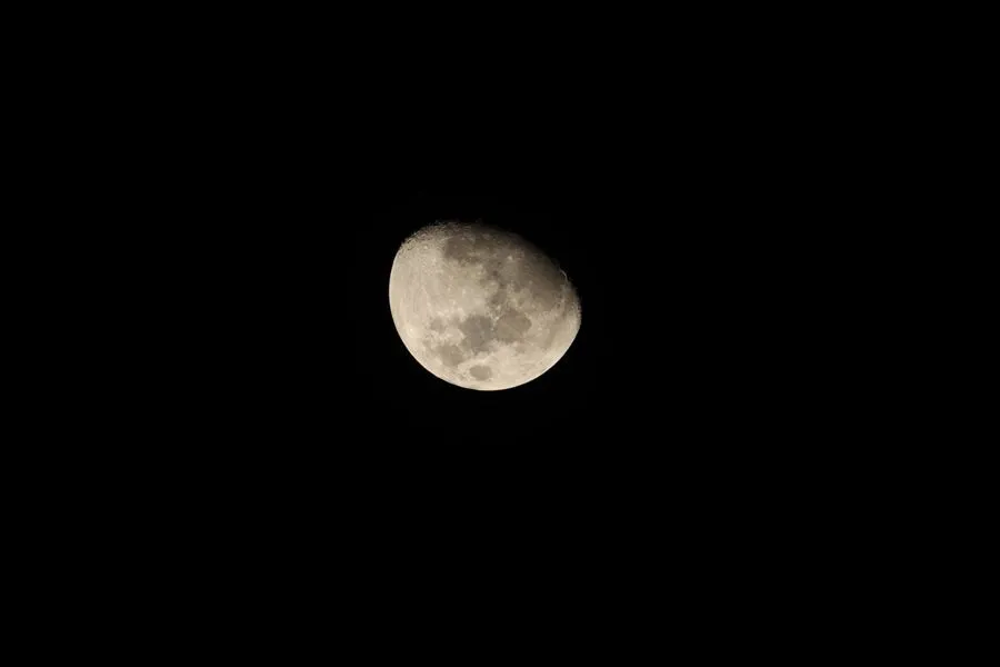 Canon RF 600 mm f/11 IS STM