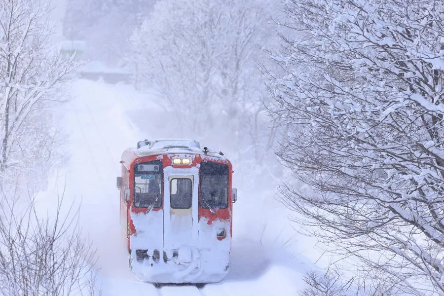 Canon RF 600 mm f/4 L IS USMM