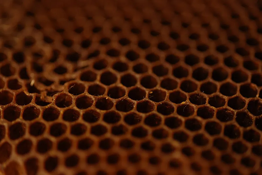 Canon RF 85 mm f/2 Macro IS STM