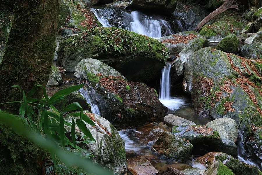 Canon RF-S 18-45 mm f/4.5-6.3 IS STM